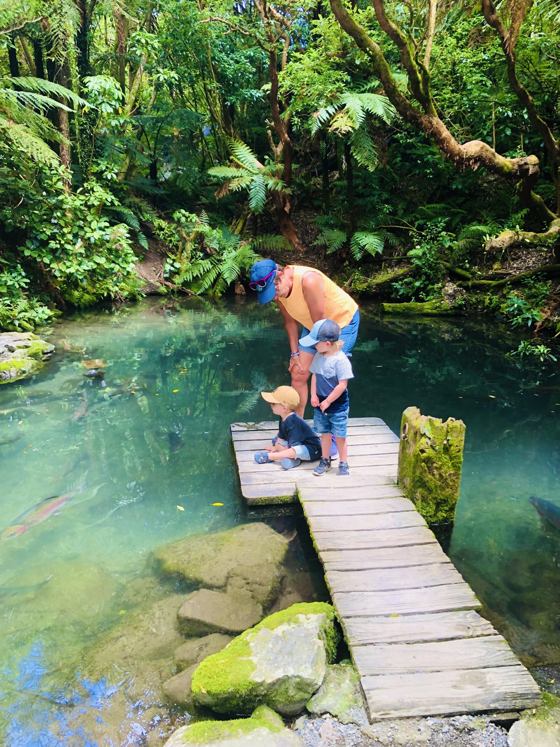 What's on at Staglands | Wellington | Staglands Wildlife Reserve