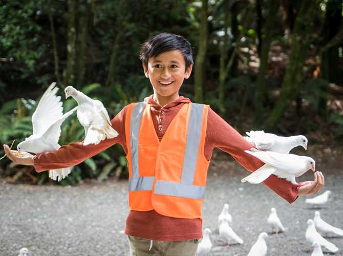 Junior Ranger (3) Staglands Wildlife Reserve - Junior Ranger Experience - Boy with Doves